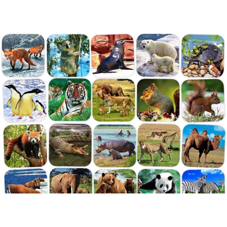 Đồ chơi cho bé - Đèn chiếu phim | BigBuy360 - bigbuy360.vn