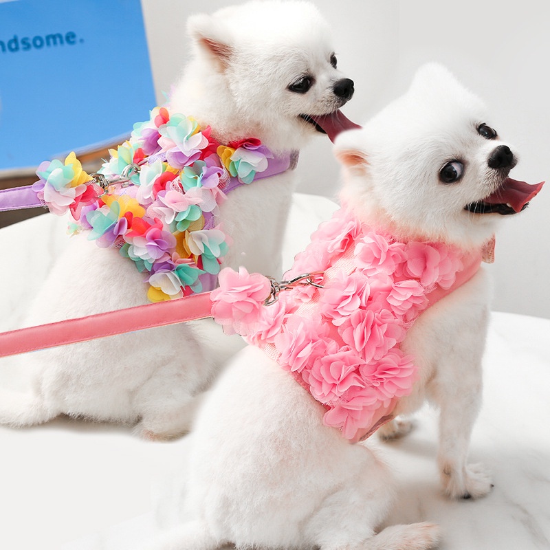 【Hàng sẵn sàng】 Quần áo Vật nuôi Dây đeo ngực Kéo Hoa ba chiều Teddy Bichon Dog Đi bộ Dây xích