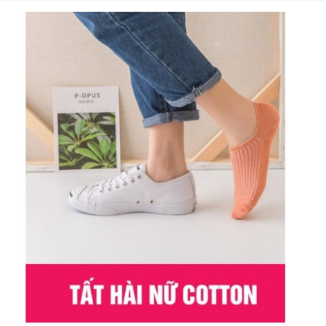TẤT HÀI NỮ CỔ NGẮN-LIAOHE MẪU MỚI NGÂN TĂM