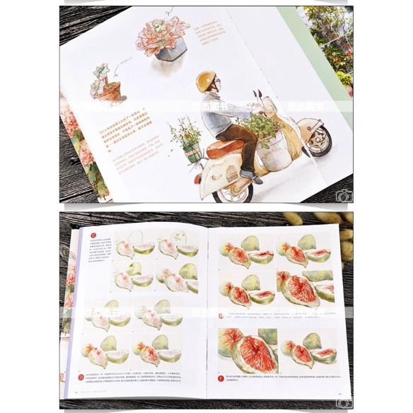 Tập ABOOK vẽ Màu nước Tĩnh vật, Cuộc sống thường nhật