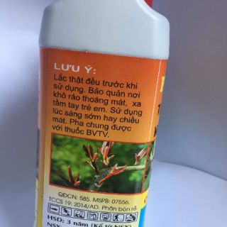 VUA ĐÂM CHỒI