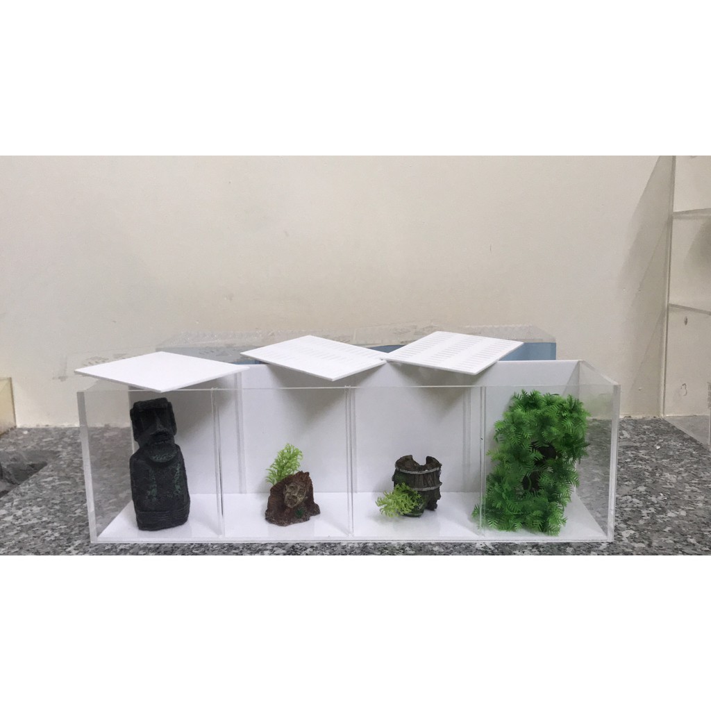 Bể cá/ hồ show cá 4 ngăn ( giá tại xưởng)