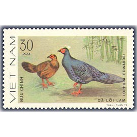 Tem sưu tập MS 354 Tem CTO Việt Nam Chim lông đẹp 1979.