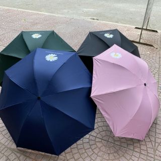 Ô dù HOA CÚC đóng mở tự động