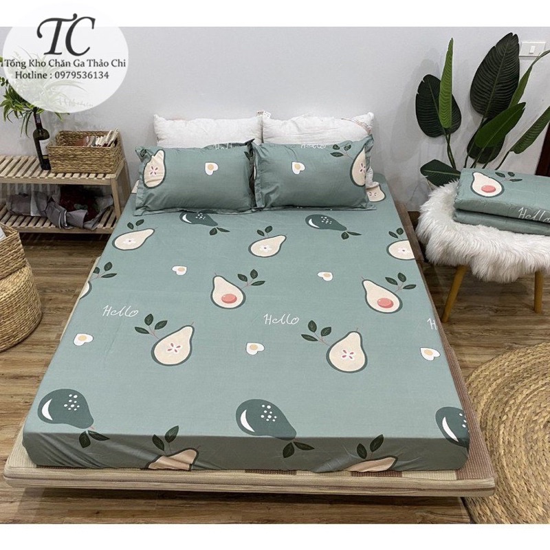 Bộ Ga Gối Coton Poly -  Bộ 3 Món (1 Ga+ 2 Vỏ Gối ) Đủ Size- Được Chọn Mẫu | BigBuy360 - bigbuy360.vn