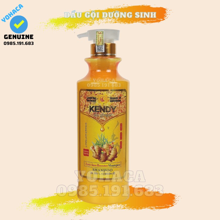 Bộ dầu gội xả Kendy Gừng Gội xả dưỡng sinh 850ml