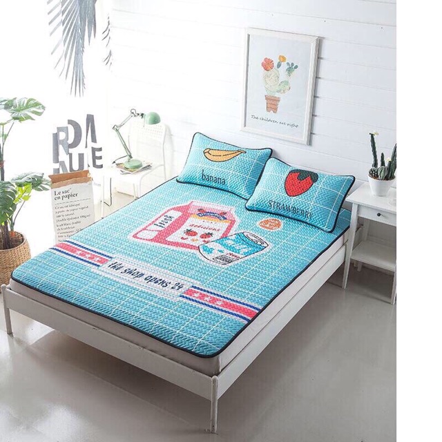 Chiếu điều hoà tencel 1m6x2m