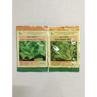 HẠT GIỐNG CÂY TRỒNG MIỀN NAM , HẠT GIỐNG TRỒNG RAU SÂN THƯƠNG , TRỒNG RAU SẠCH