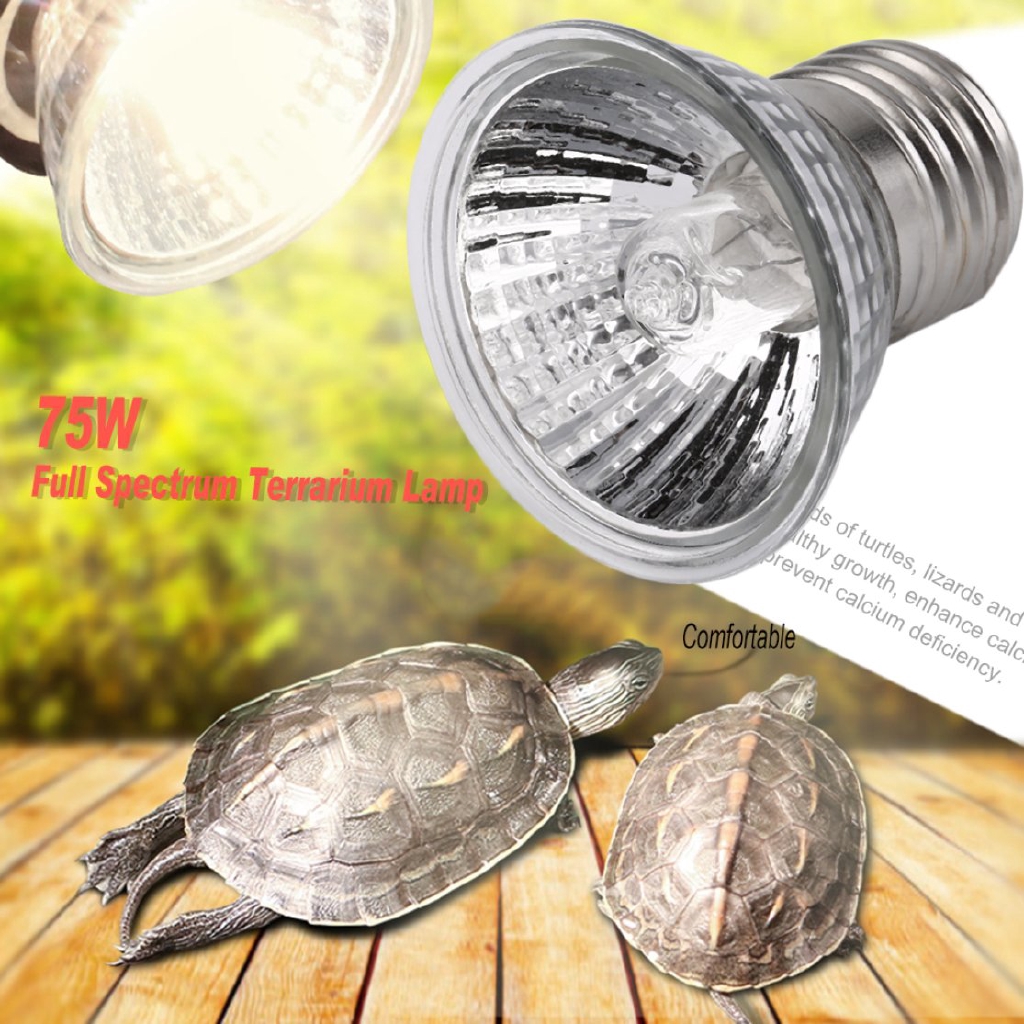 Đèn❤UVB 25W/50W/75W Compact Bulb Ideal Full Spectrum Terrarium Lamp For Amphibians