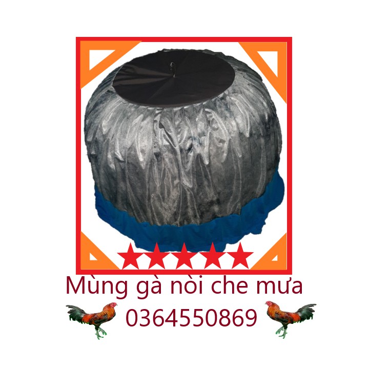 Mùng trùm bội gà che mưa gà nòi gà chọi.
