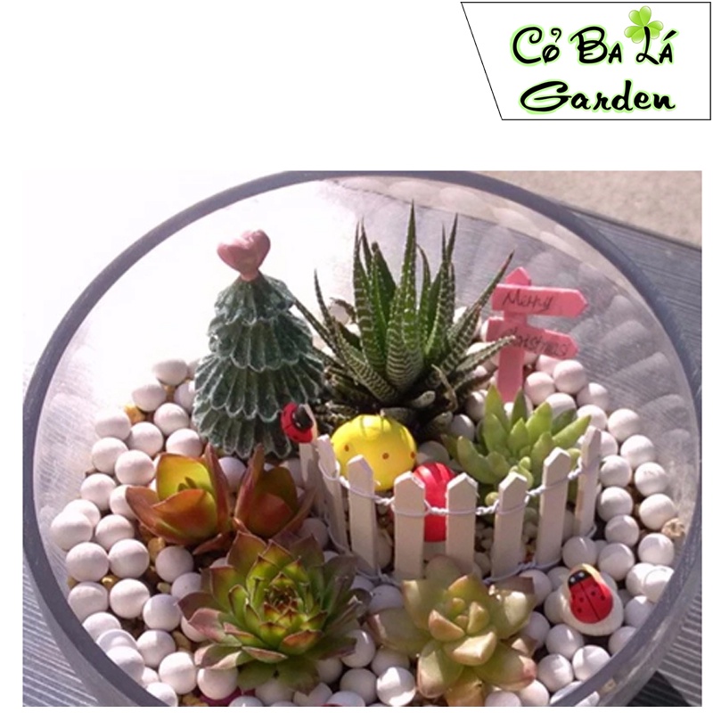 Hàng rào gỗ mini,  trang trí tiểu cảnh - sen đá - bonsai -terrarium