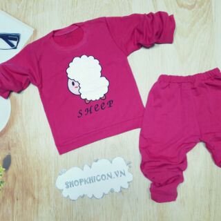 Combo 2 bộ cừu cho bé gái size 3