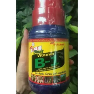 VITAMIN B1 Thái phun lan kích rễ cực tốt chai 500ml