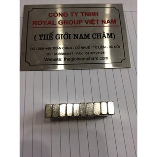 Nam châm viên đất hiếm 20x10x5mm