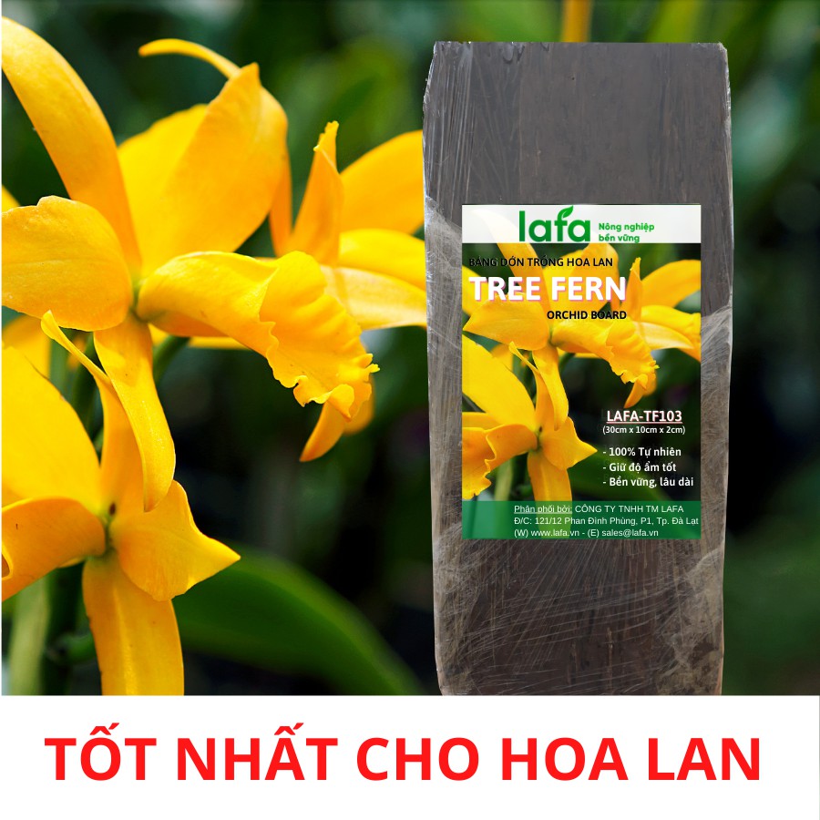 Bảng dớn trồng hoa lan LAFA TREE FERN  kích thước 30 cm x 10cm x 2cm giá thể chuyên trồng hoa lan