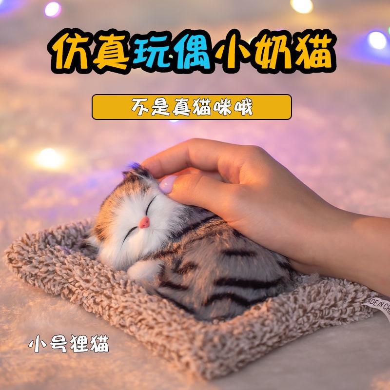 Quà Tặng Sinh Nhật Nhỏ Nhắn Tùy Chỉnh Có Thể Tùy Chỉnh Quà Tặng Cho Bé Gái 18 Tuổi/Bạn Gái/Trường Học