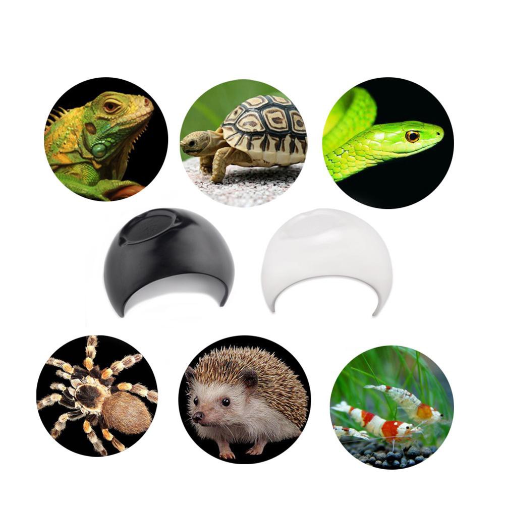 [Support COD] Reptile Box Pet Lizard Snake Spider Cave Nest Aquarium Fish Tank Decoration