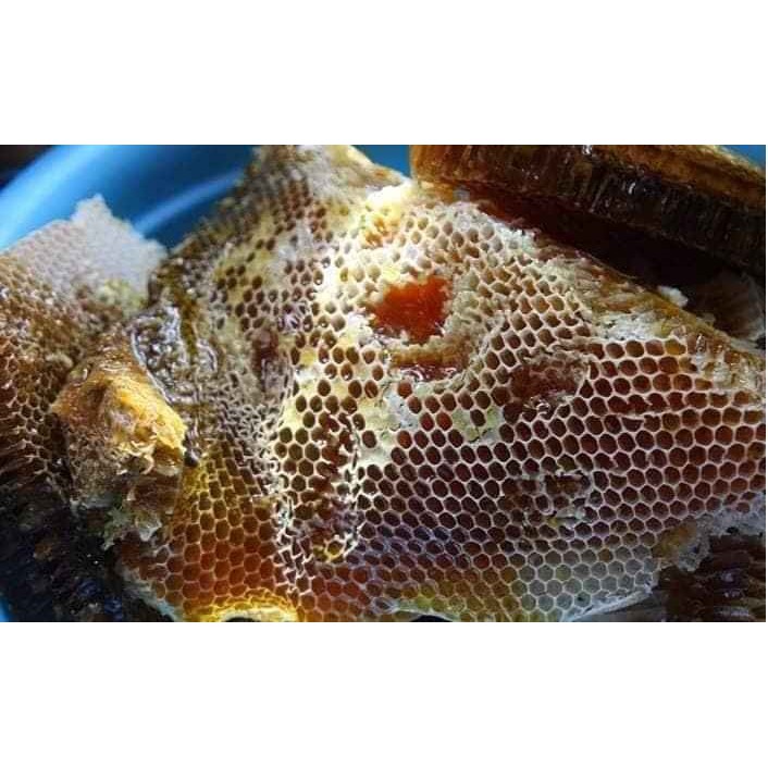 Mật ong Hoa Nhãn nguyên chất Tây Bắc 1 lít ( 1400g ) | BigBuy360 - bigbuy360.vn