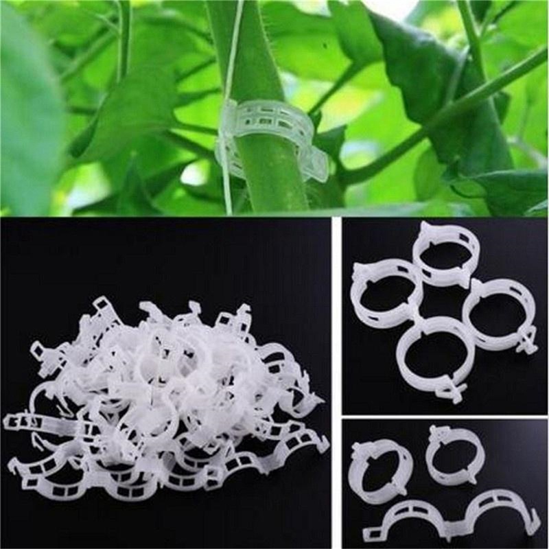 Set 100 kẹp cố định cây dây leo tiện lợi