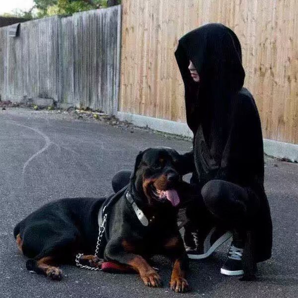 Áo khoác nam dài tay có mũ thời trang Hàn | BigBuy360 - bigbuy360.vn