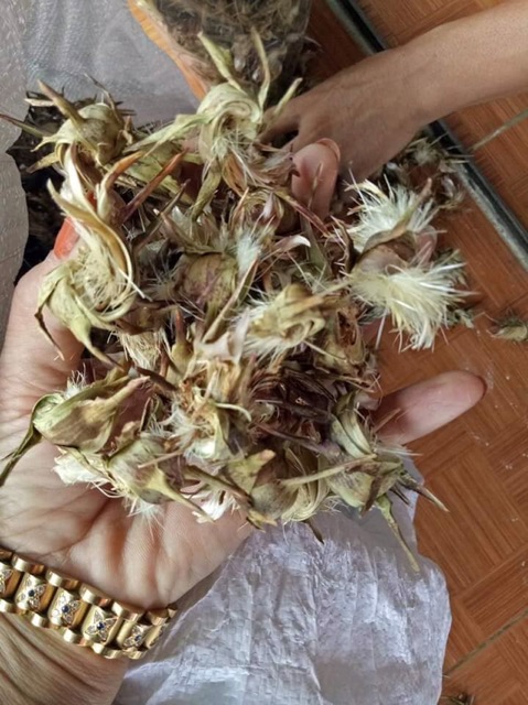 Hoa Ac ti sô Sa Pa khô 500g