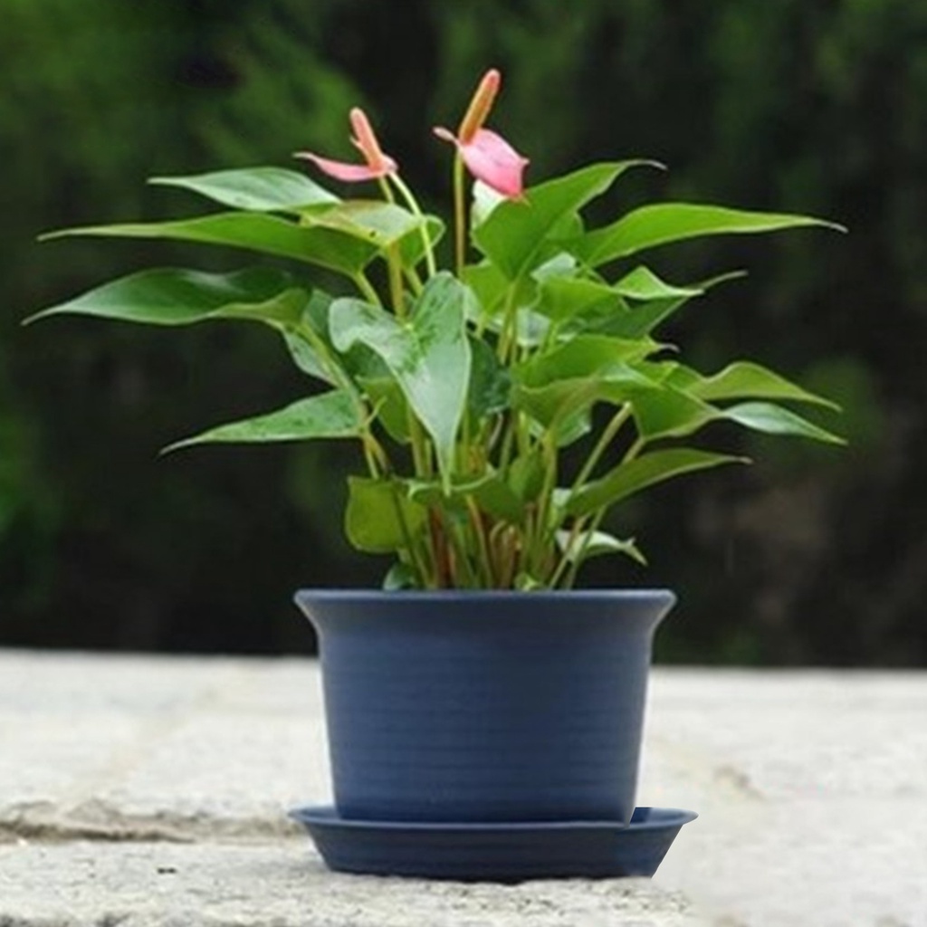 Chậu Nhựa Trồng Cây Hình Tròn Kèm Khay Đựng Phong Cách Bắc Âu Sáng Tạo Tiện Dụng