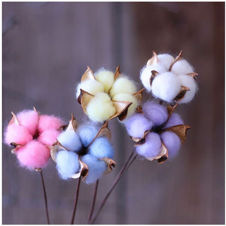 Cành Bông Gòn Khô Màu- Hàng Loại 1 Thân Sắt Mảnh,  1  Bông Đều Cánh - Mô Phỏng Cotton Flower - Chất Liệu Cao Cấp