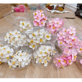 HOA CÚC CÁNH BƯỚM- Hoa Khô- hoa khô trang trí cafe, trà chanh, trà sữa, quán ăn - [402]