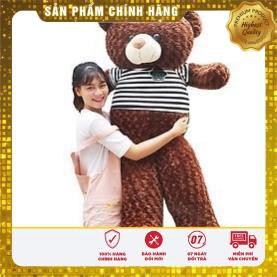 [Hàng Loại 1] Gấu Bông Teddy cao cấp khổ vải 1m8 cao 1m6