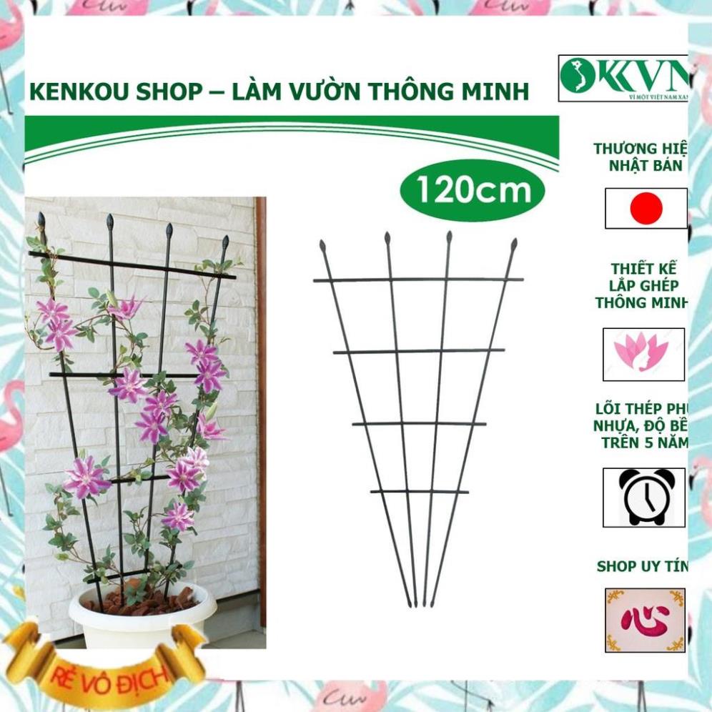 Shop Midori_Giàn hoa hình quạt lõi thép bọc nhựa Daim Nhật Bản_ hoa hồng, hoa giấy và các loại cây leo