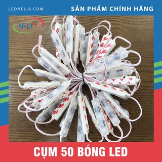 Dây 50 thanh led 3 mắt SASO kích thước 66x15mm chuyên dùng dán viền trang trí, hắt chữ quảng cáo.