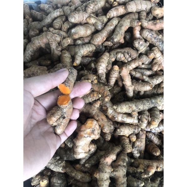 1kg Củ Nghệ tươi ĐăkLăk