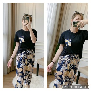 Bộ cây dừa