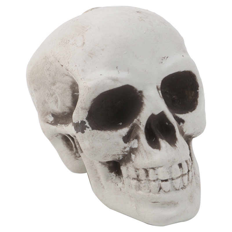 Đồ trang trí Đầu Lâu Mini Bằng Nhựa Trang Trí Halloween