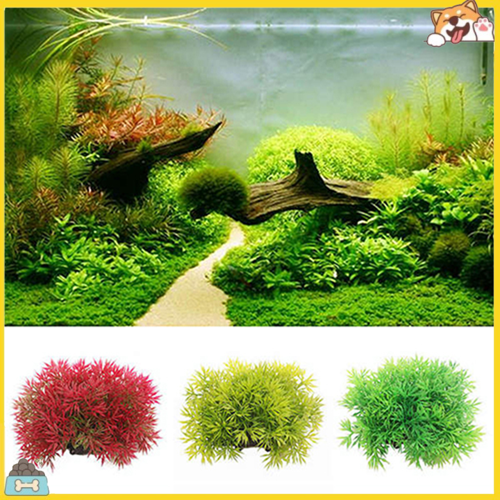 Cây cỏ nhân tạo bằng nhựa trang trí bể cá