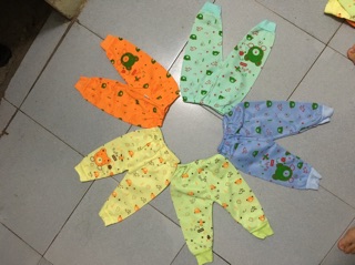 Combo sỉ  quần nỉ bông