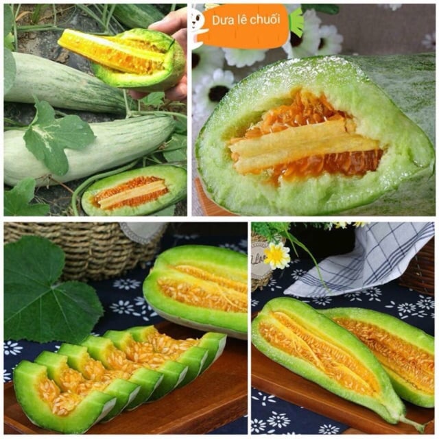Hạt giống Dưa Lê Chuối 20 Hạt