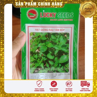 Hạt giống rau tầm bóp rau trồng tại nhà (gói)