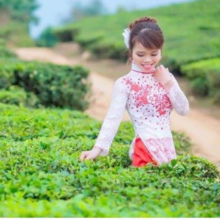 1Kg Chè búp Thái Nguyên ngon sạch.