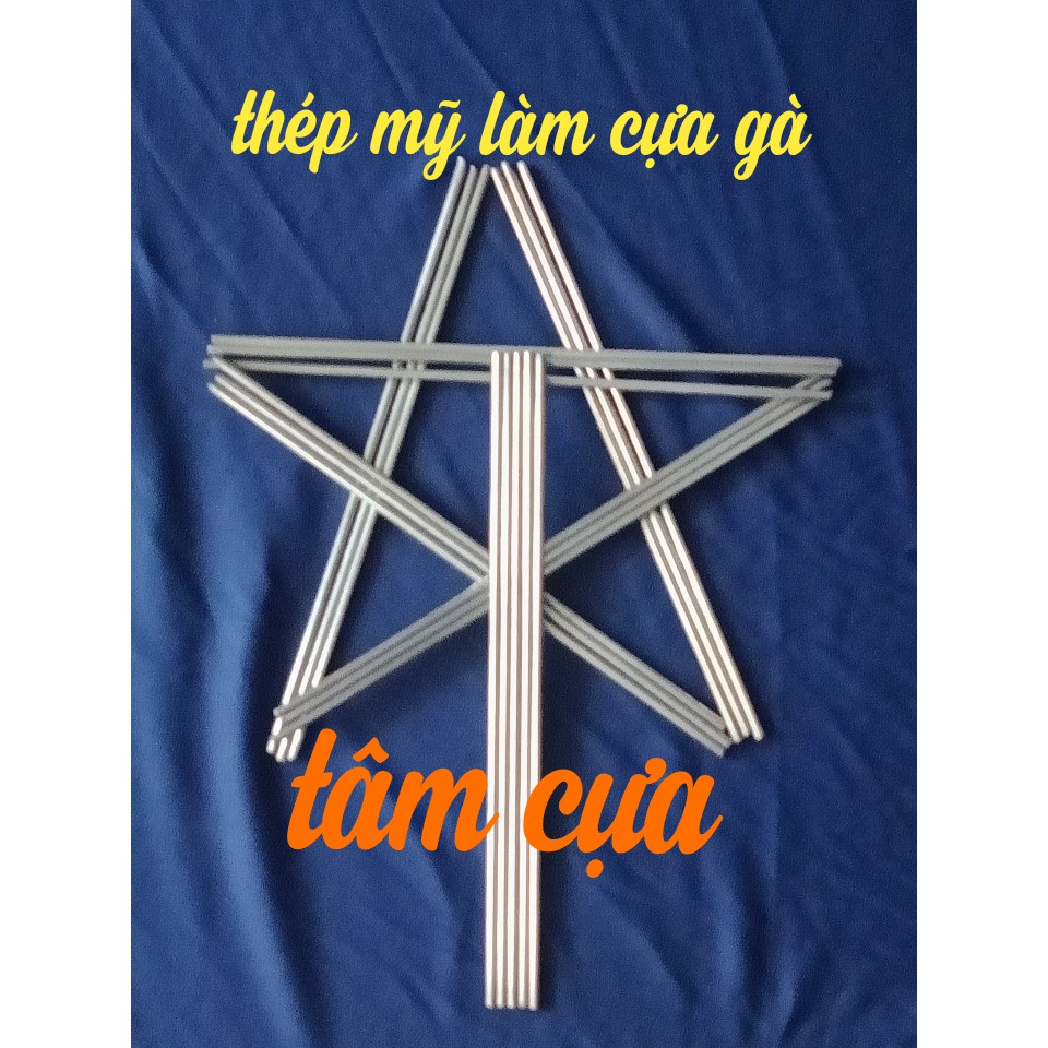 Cựa gà tre 50 ÉP 2 Thép mỹ,, 2LY BỌC ĐỒNG VÀ HÀN ĐẾ,,Tâm cụa