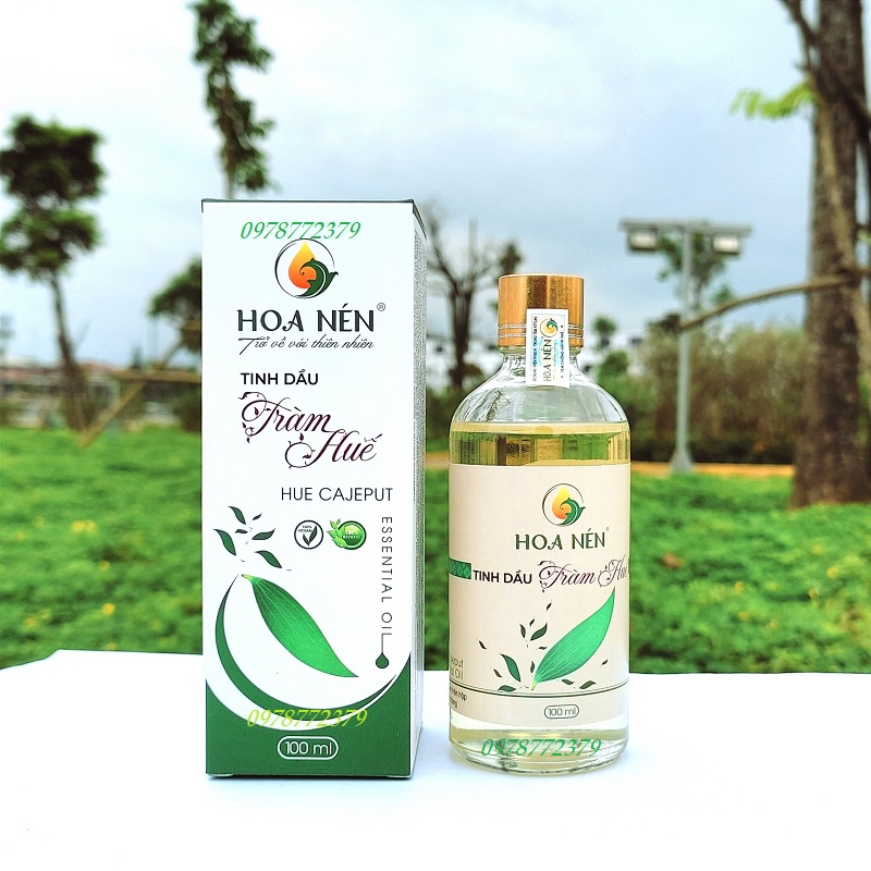Tinh dầu tràm Huế nguyên chất Hoa Nén 100ml  Dầu tràm gió thiên nhiên nguyên chất 100% - Có kiểm định chất lượng