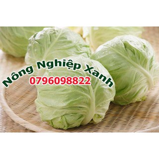 Hạt giống rau Bắp cải xanh