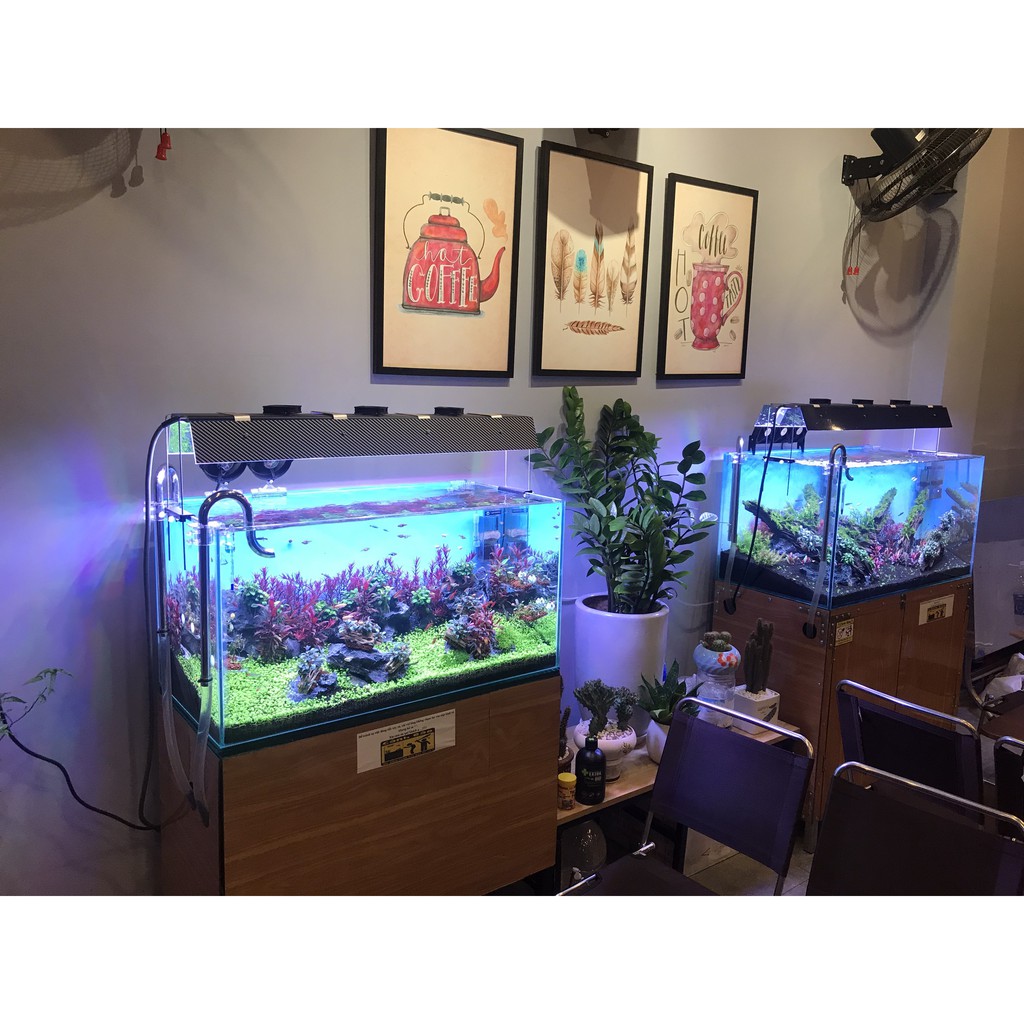 Shade JetA Chắn Sáng Cho Đèn Thủy Sinh Dài 60CM, Siêu Mỏng, Nhẹ, Mặt Gương Phản Quang Cực Tốt.