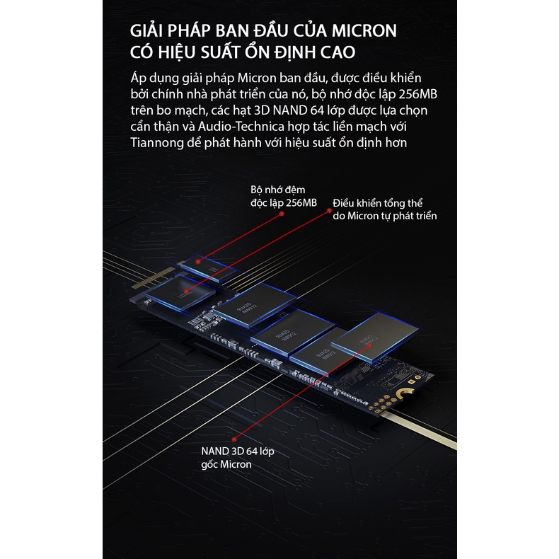 Ổ Cứng SSD MOVESPPED NVME M.2@PCle3.0 x 4 Dung Lượng 256GB - Sử Dụng Chip 3D NAND Cao Cấp - Tốc Độ Đọc 2800MB/S