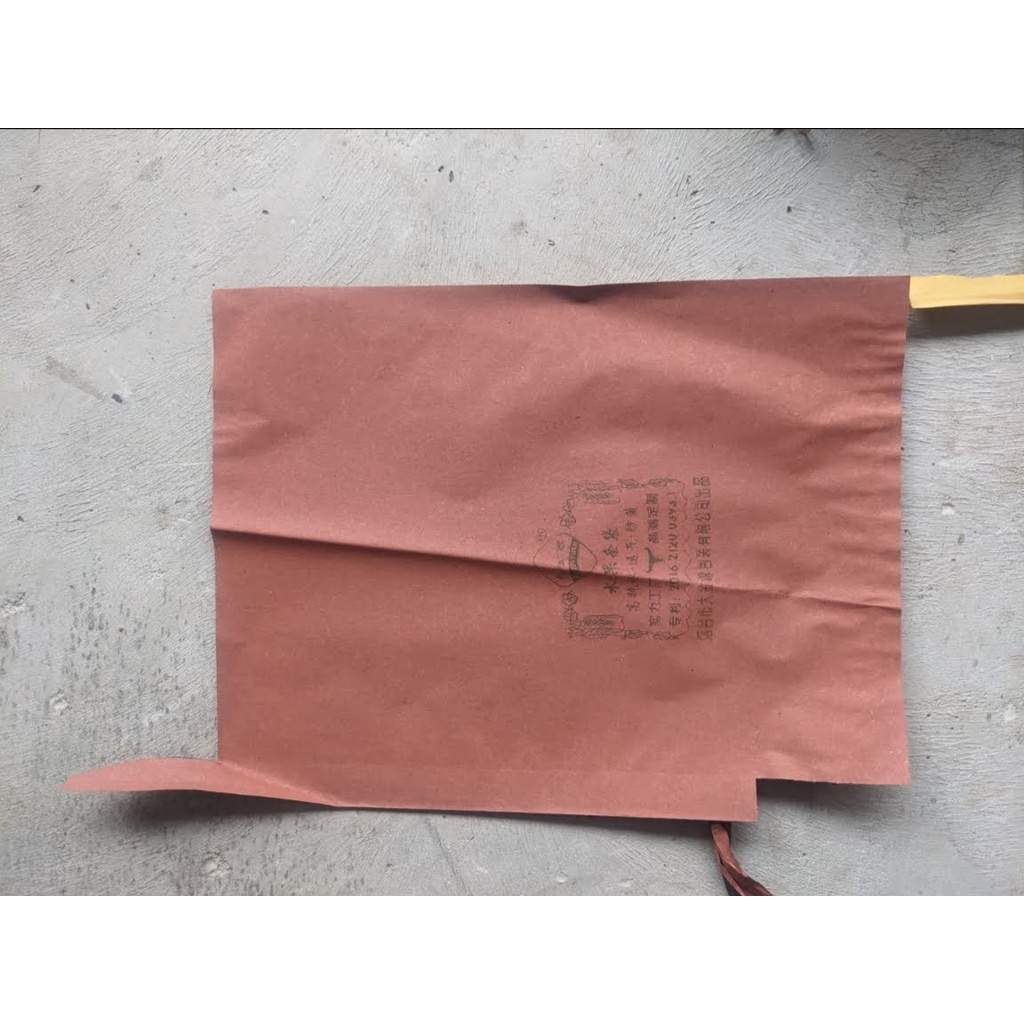 100 Túi Bọc Bưởi ,2 Lớp Giấý , Túi Bọc Bưởi Xi Măng, Chuyên Bọc Bưởi Diễn,Da Xanh