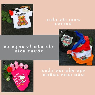 Quần Áo Chó Mèo [ Áo Phông Playboy Sành Điệu ] 013