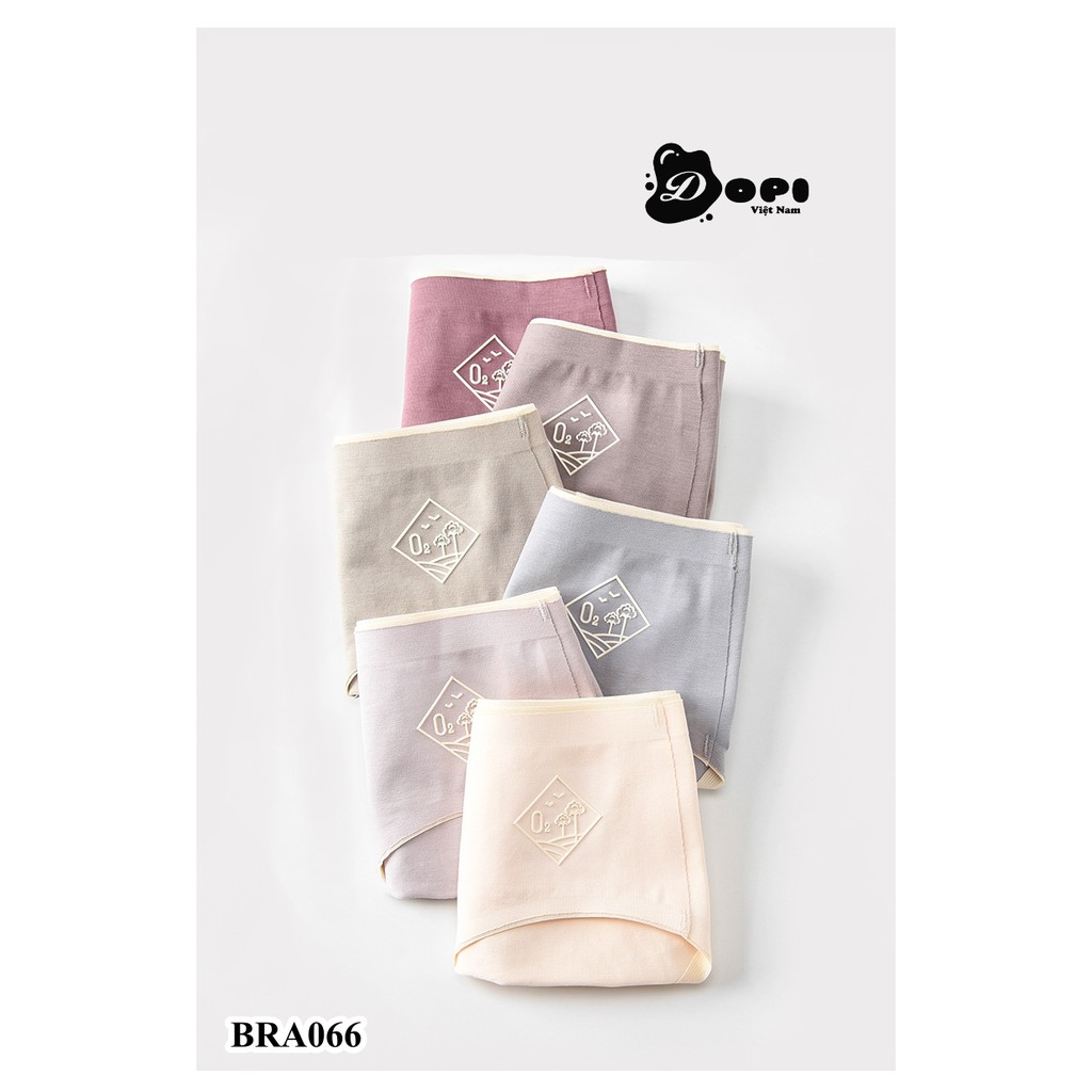 (BRA066) Quần lót cotton kháng khuẩn nữ cao cấp | BigBuy360 - bigbuy360.vn