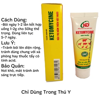 Kem bôi nấm cho chó mèo - Ketomycin 25g