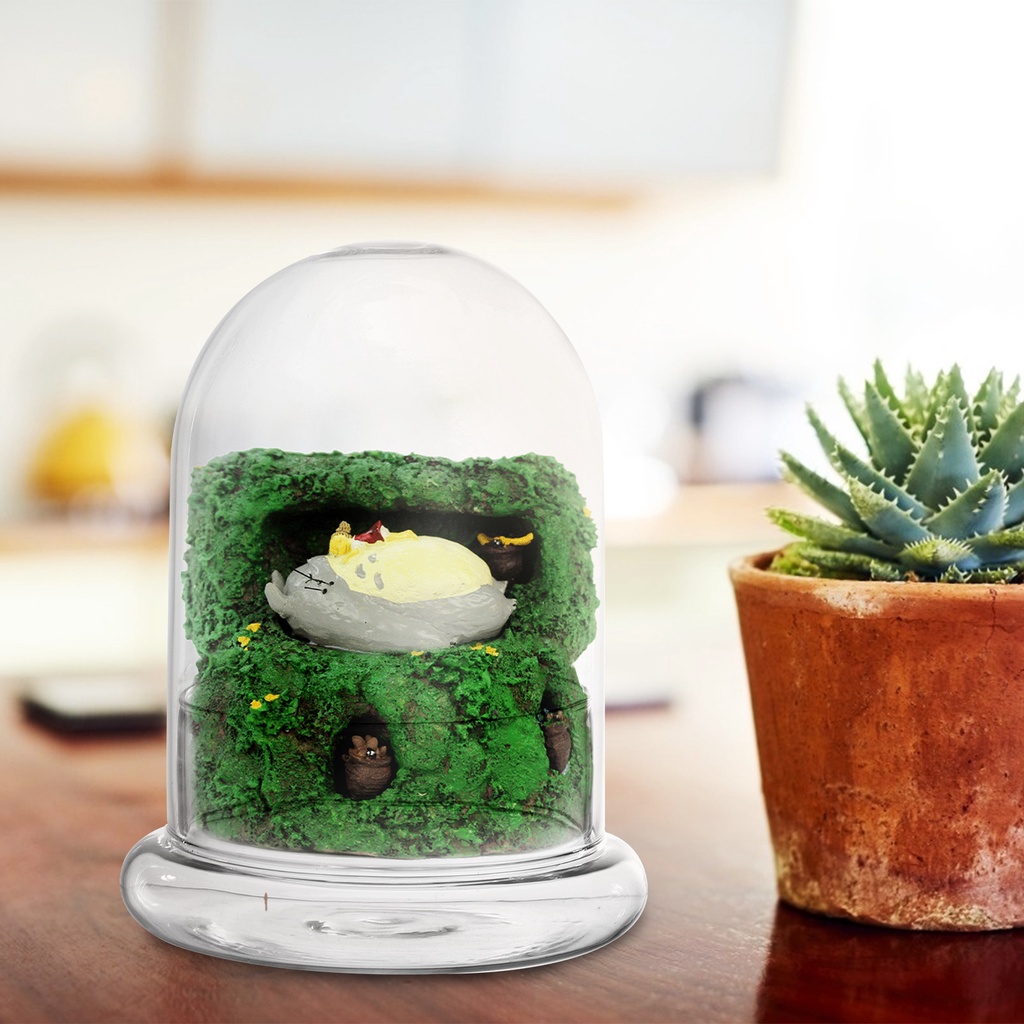 Hộp Kính Trong Suốt Trưng Bày Cloche Bell Dome Trưng Bày Cây Mọng Nước Đèn Thần Tiên
