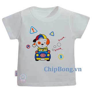 Áo tay ngắn cổ bo bé trai - hello bb